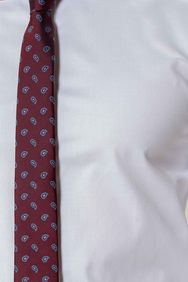 Camisa de vestir entallada...